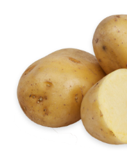 aardappelen